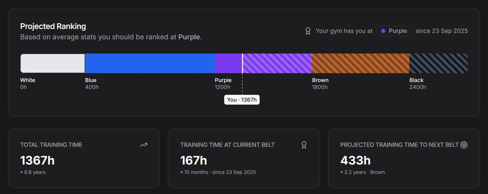 Belt progress for a martial arts dojo: a bar across White, Blue, Purple, Brown and Black with the student's hours marked, above total training time and hours to the next belt